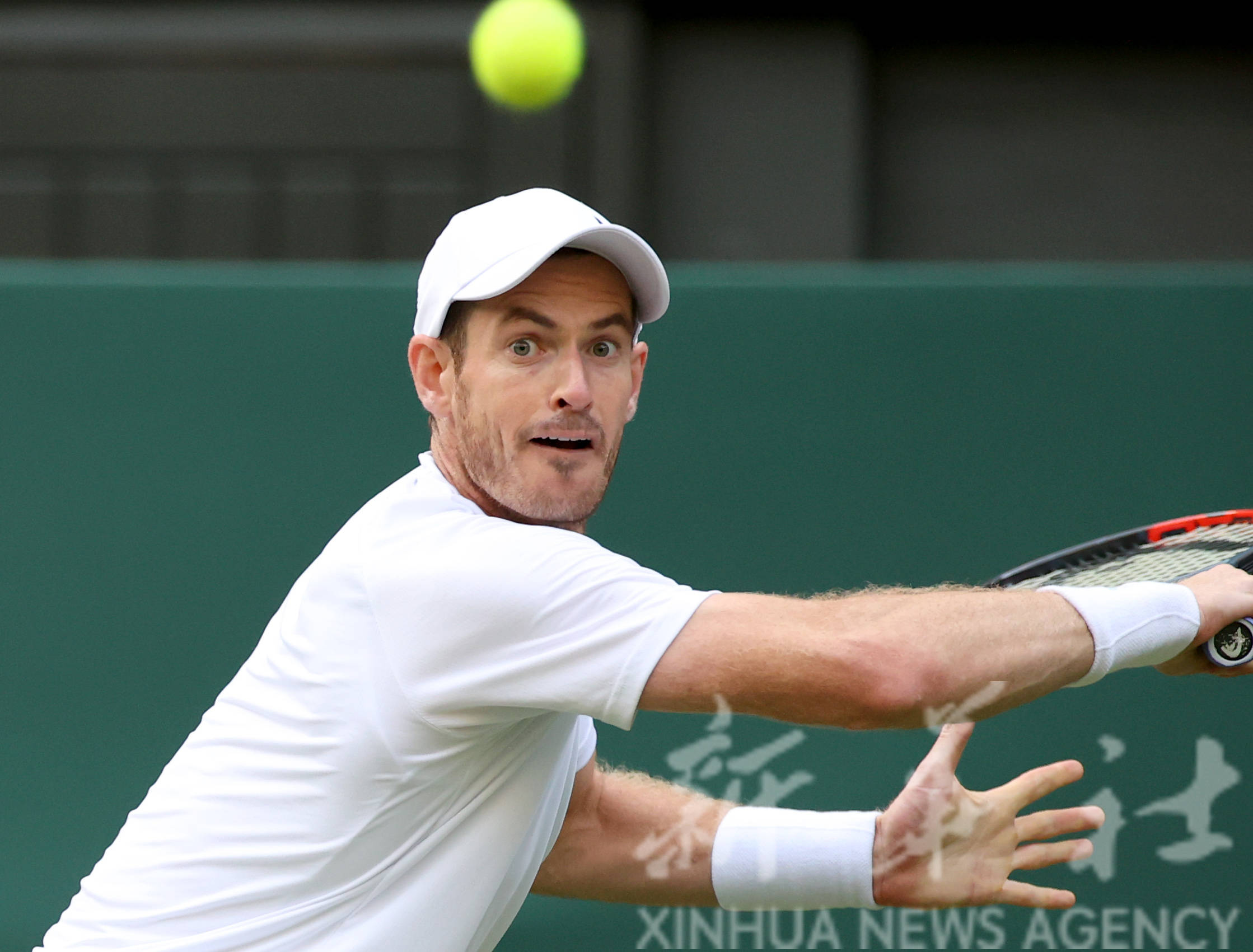 温网翻盘拉沃尔杯，穆雷惊艳四座