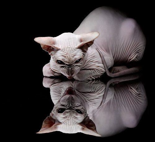 巨浪突进,亚洲蓝调奏响意大利,久保建英撕裂巨星包围圈