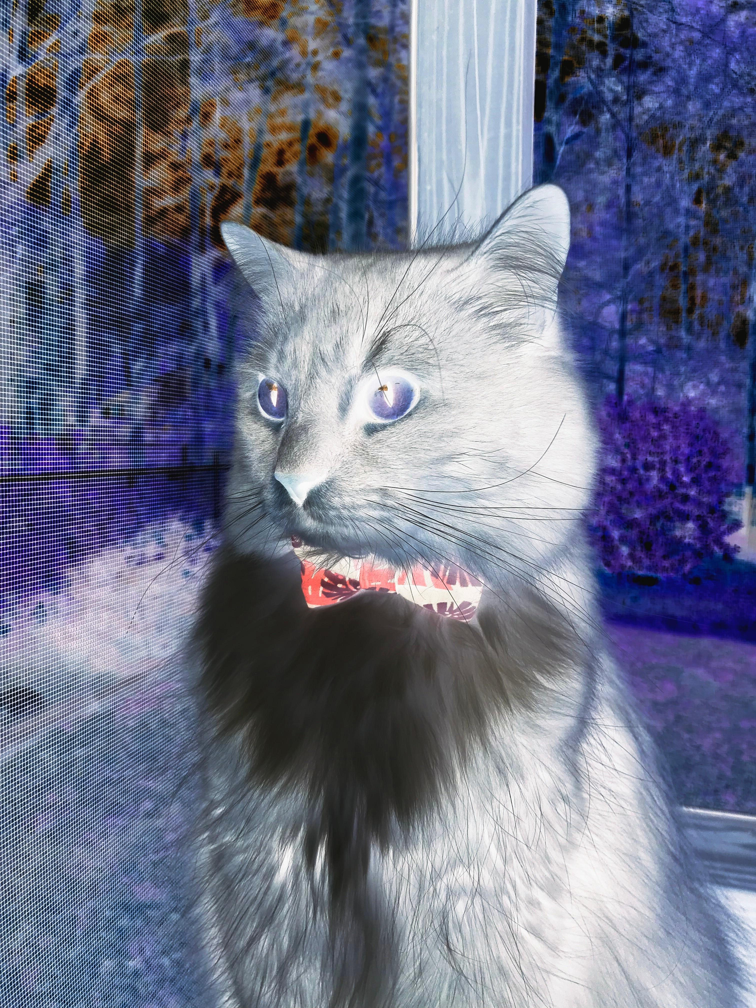 开云体育app-无懈可击！杰伦·格林新王降临，快船以旧换新打穿风城铁幕