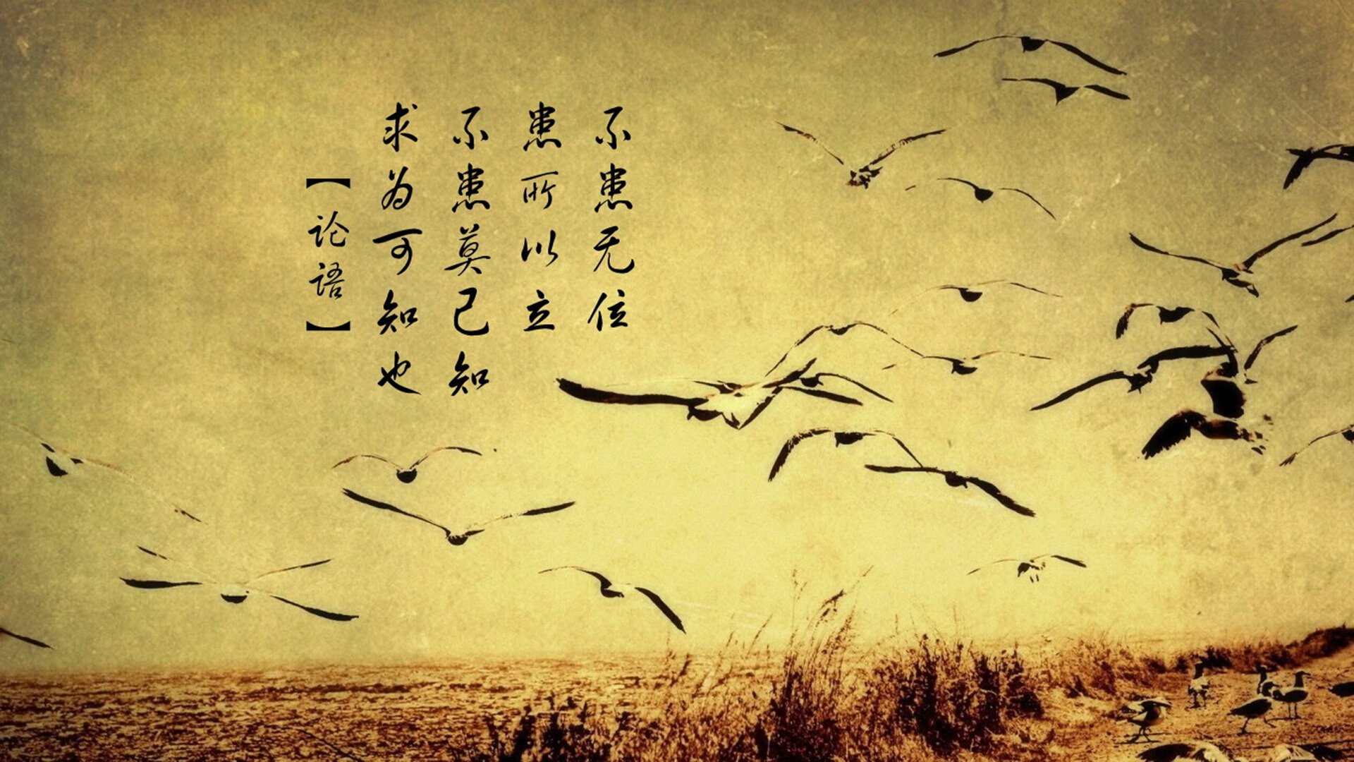 独舞者,费利克斯撕裂瑞士军刀的精密困局