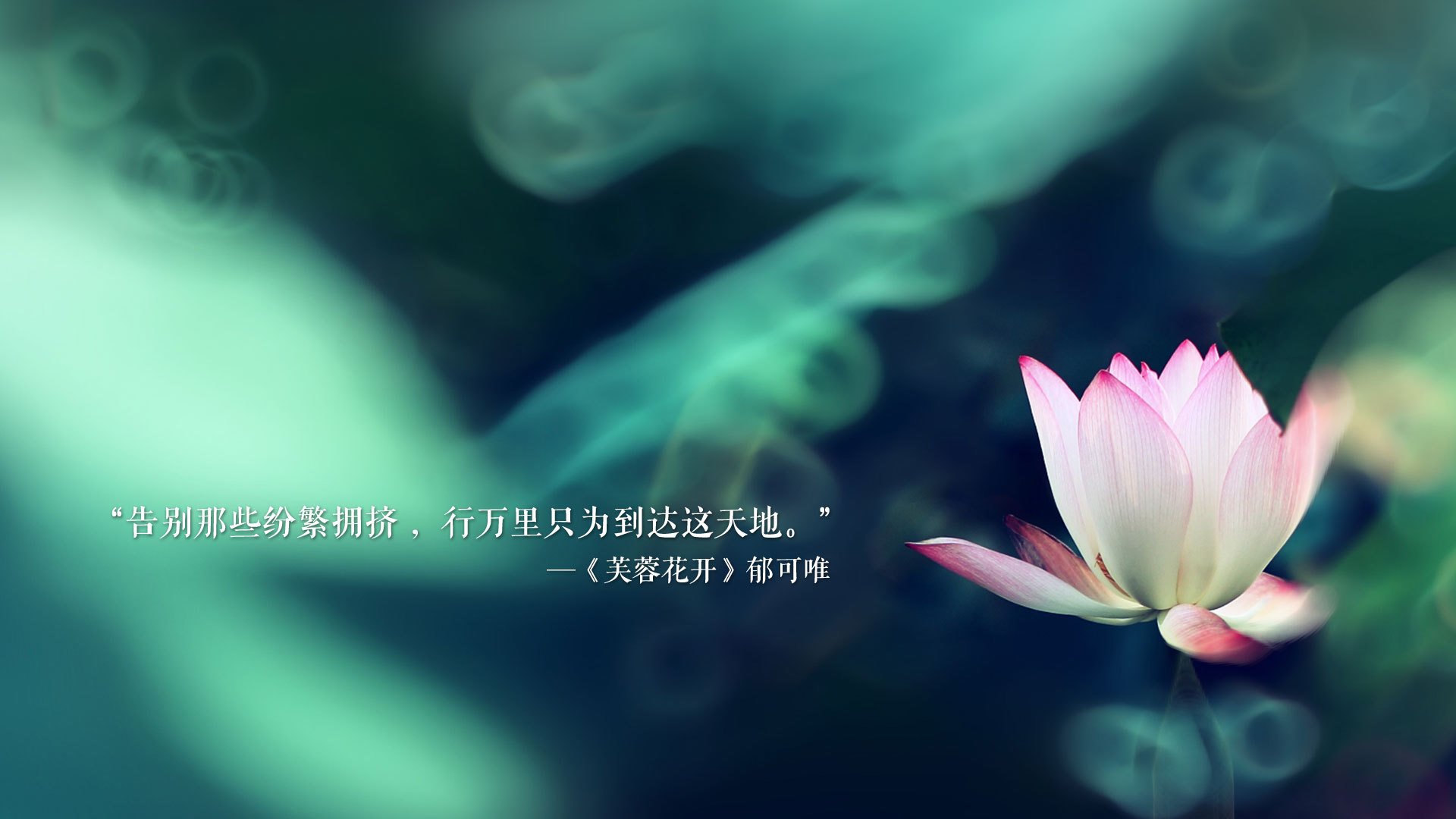 碾压与神迹,2026世界杯B组,葡萄牙狂攻下的穆西亚拉致命一击与门将神勇